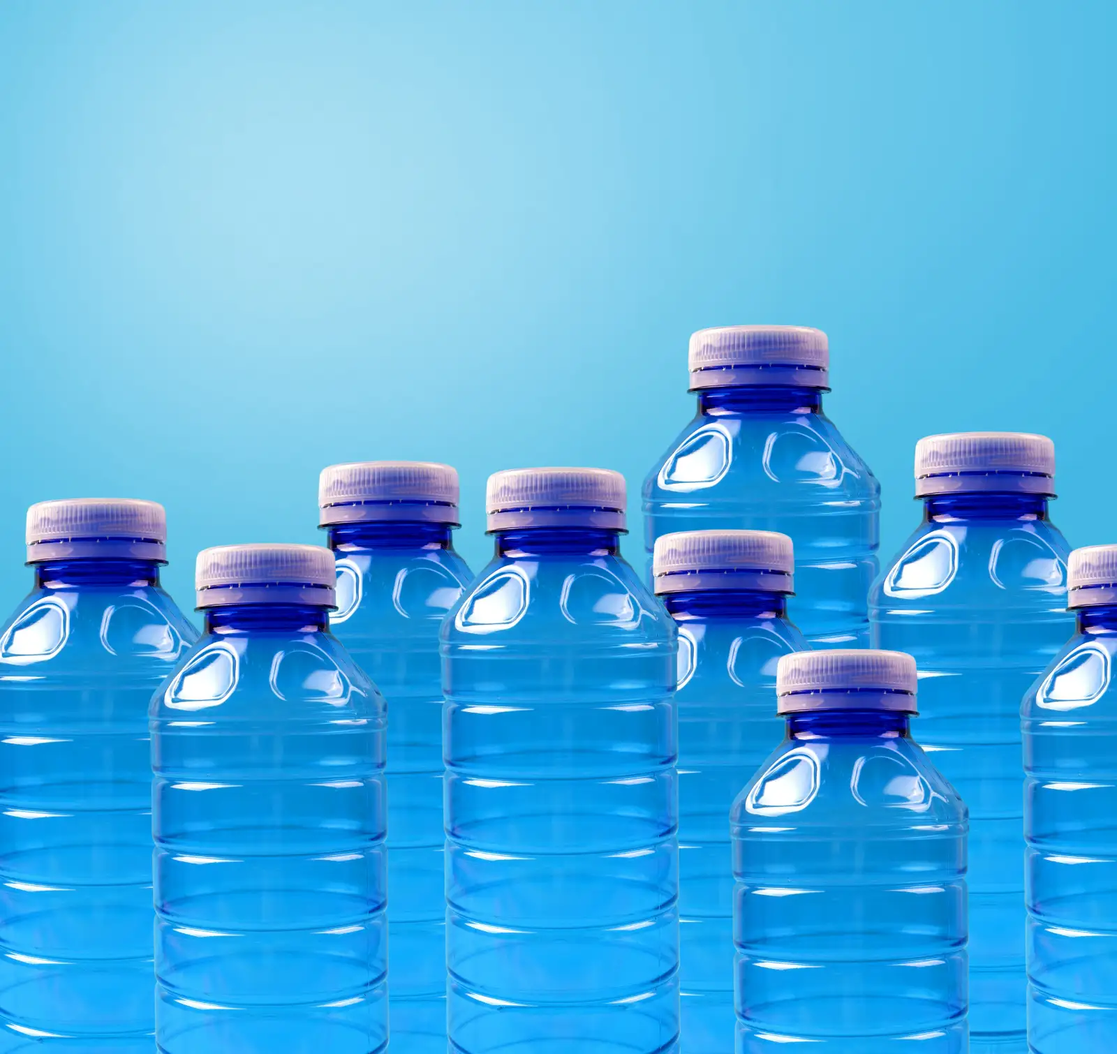 Water Bottle(500 ml)
