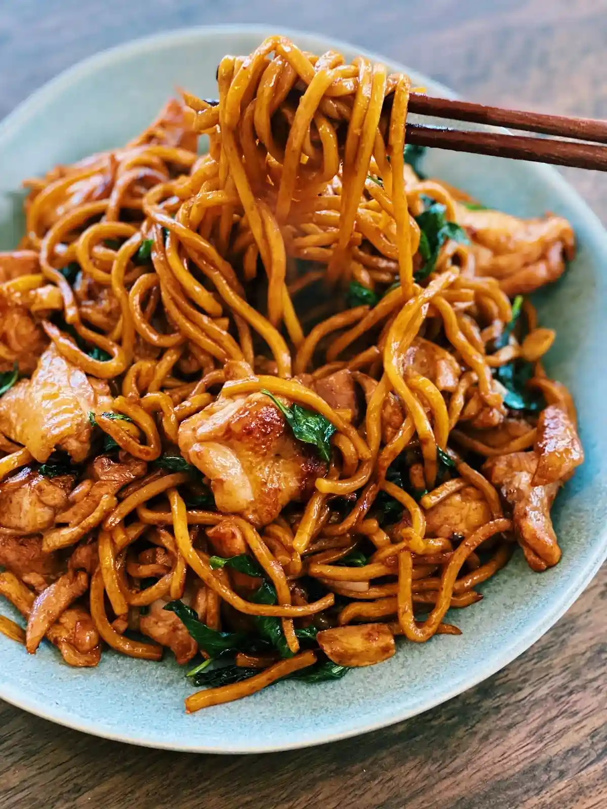 Chicken noodles